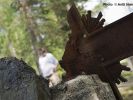 Bullet holes at Viljakkala graveyard 2014